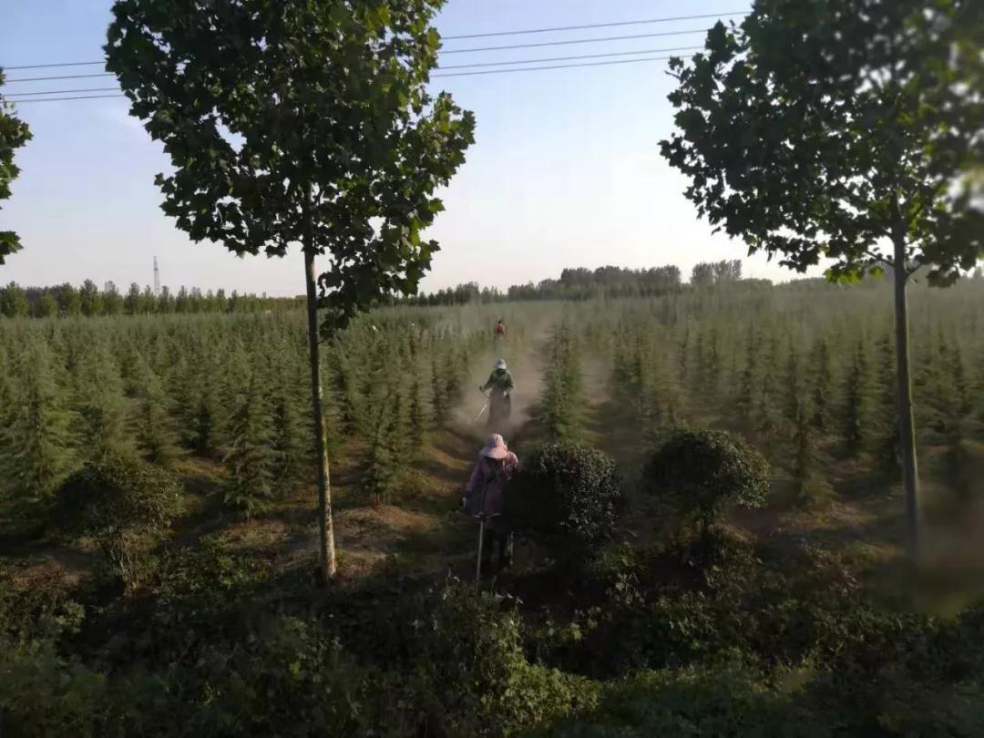 千赢国际(中国)官方网站